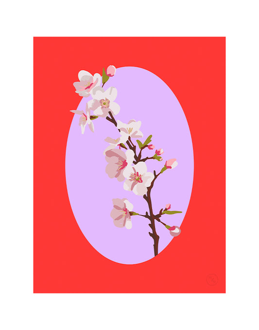 Blossom