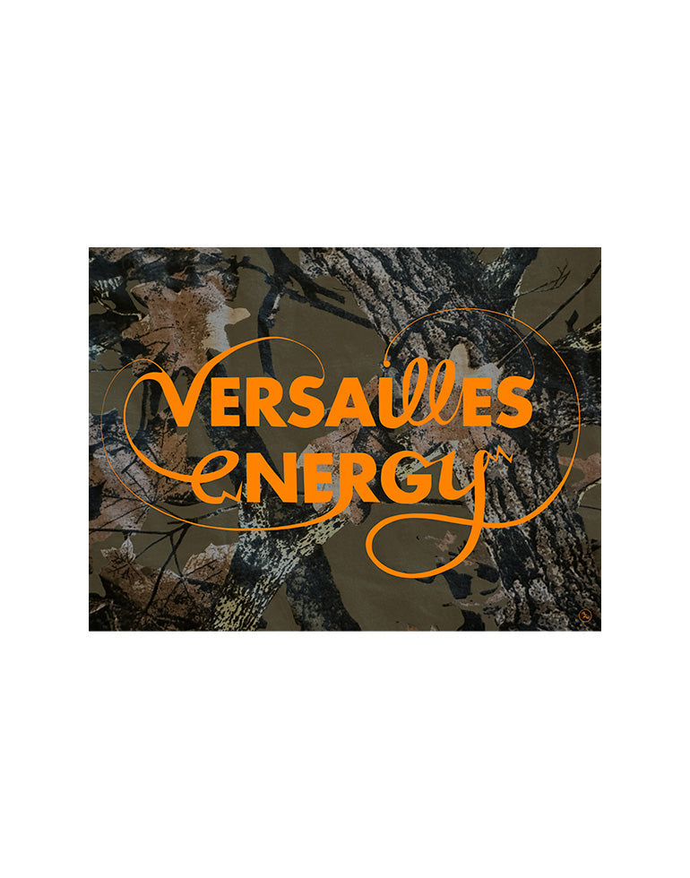 Versailles Energy