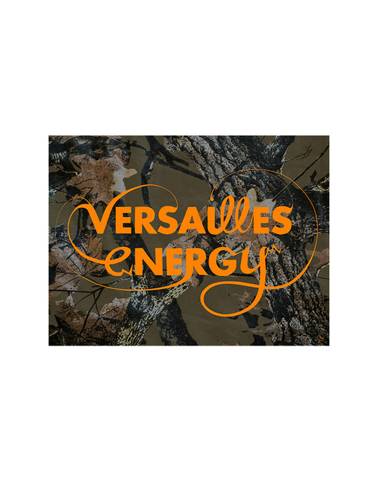 Versailles Energy